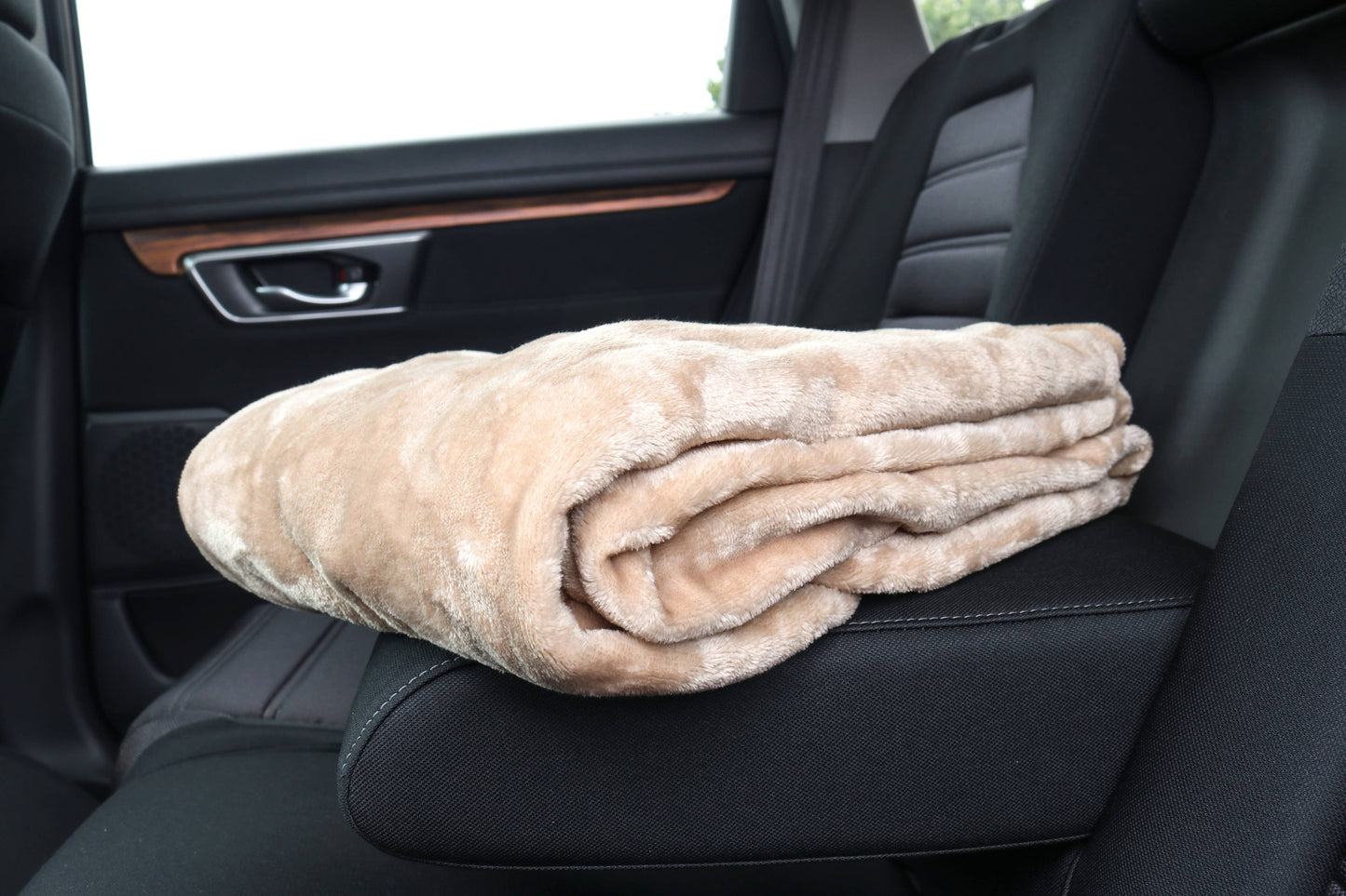 Coral Fleece Throw Blankets, Assorted Colors, 50x60 various colors