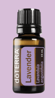 Lavender Oil