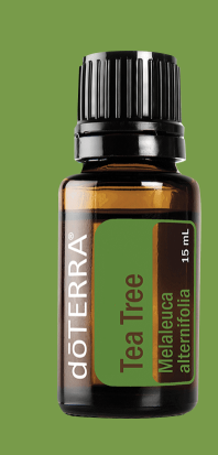 Tea Tree Oil